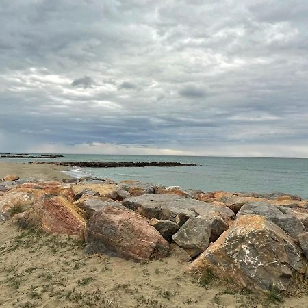 Port Barcares Vue Port Et Mer Le Barcarès Buitenkant foto
