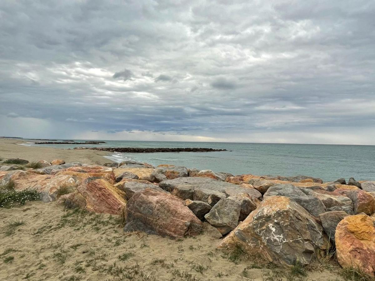 Port Barcares Vue Port Et Mer Le Barcarès Buitenkant foto